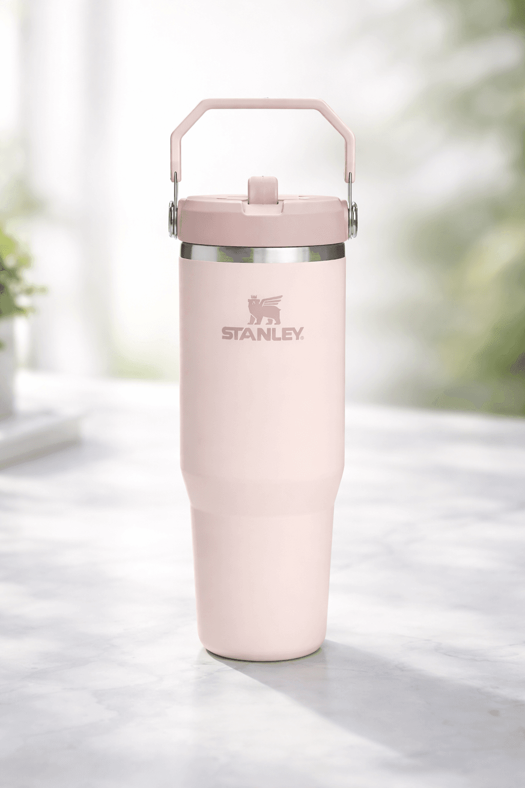 Stanley IceFlow GO Flip Straw Water Bottle – 890ml / 30oz (Frost)